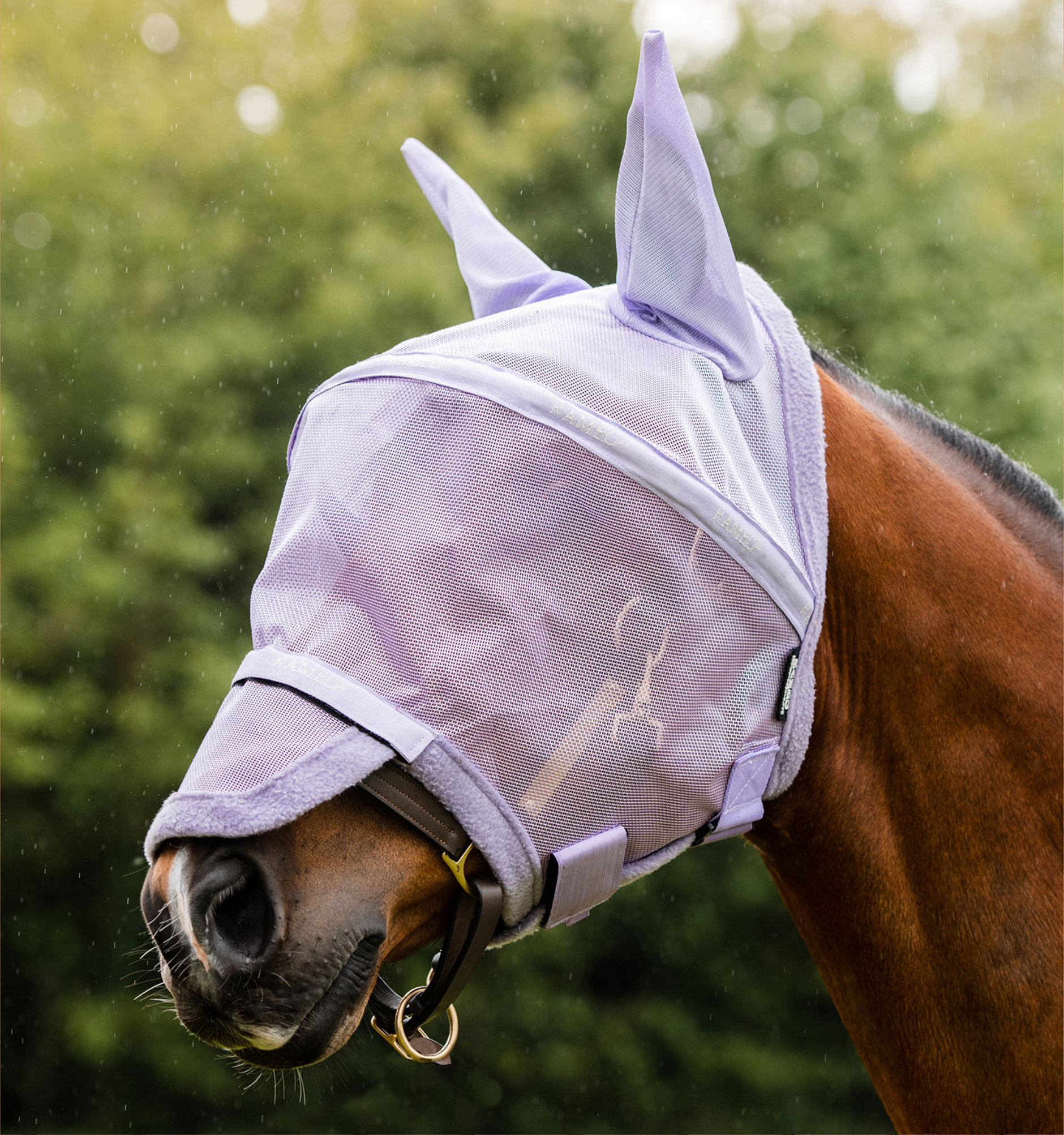Horseware RAMBO Flymask Plus non treated, lavender
